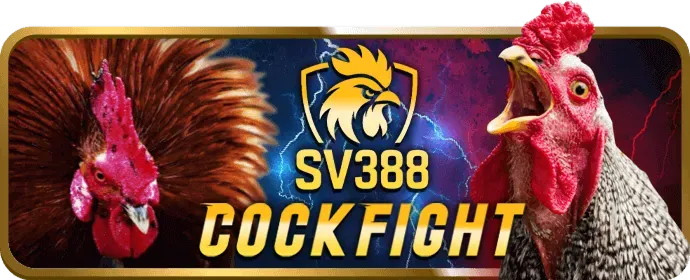 Lưu ý quan trọng về ưu đãi Ricwin